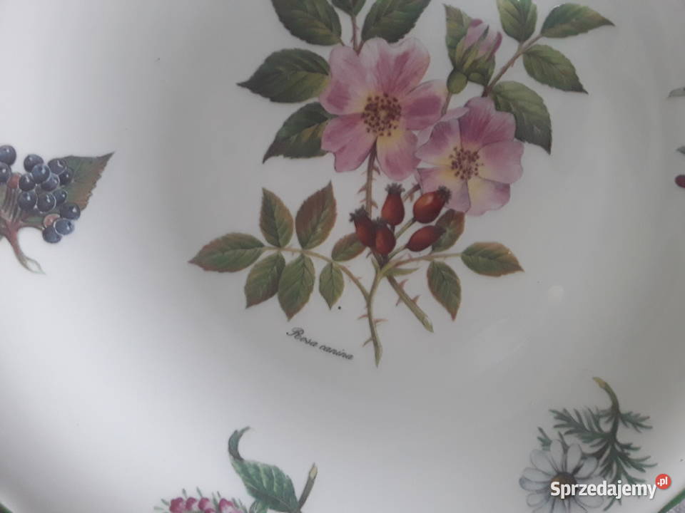 Talerz kolekcja Edwardian Anglia róże Rosa Zamość