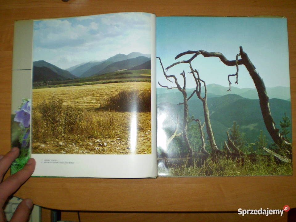 Nitzke Tatry Ilustrowany Przewodnik Tatrach sprzedam