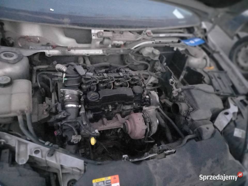 Ford focus kombi 16 tdci na części Gdynia
