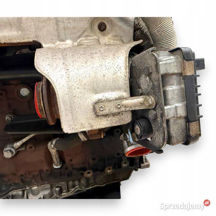 SILNIK 224DT Land Rover Freelander II L359 22 D osobowe Chełm