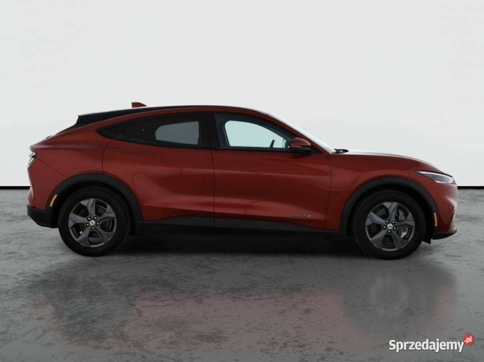 Ford Mustang MachE Standard Range RWD Piaseczno