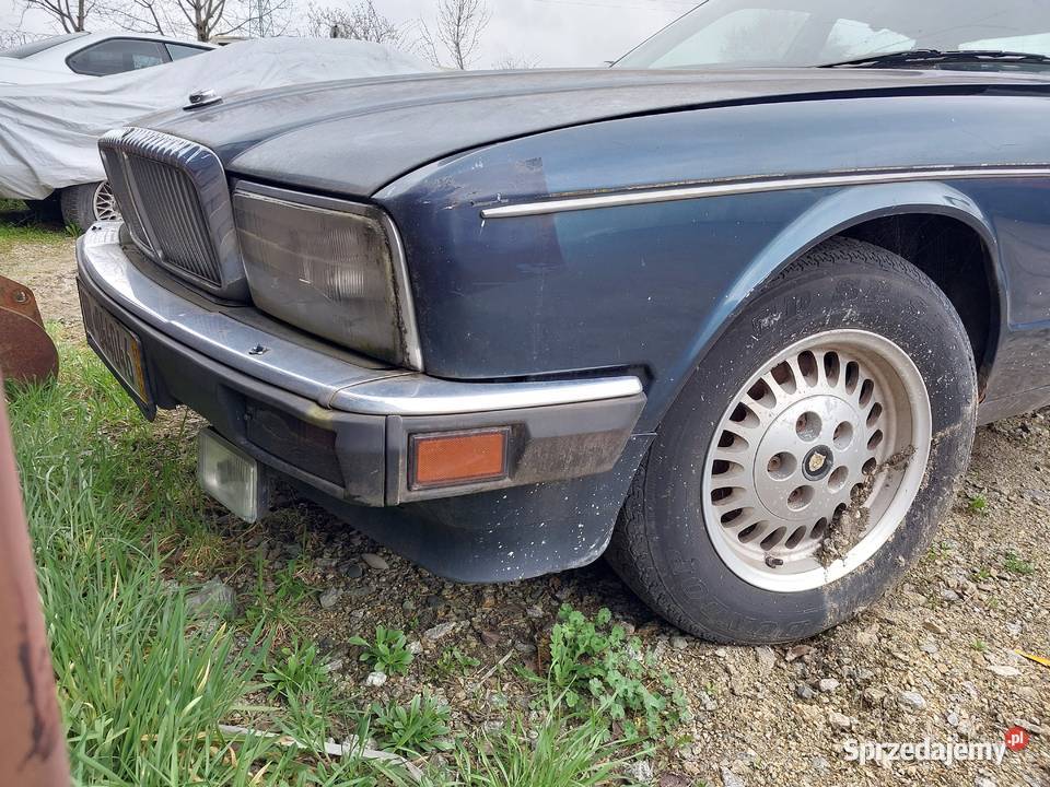 Jaguar XJ JAGUAR XJ40 lift 40l R6 233 benzyna Pleszew