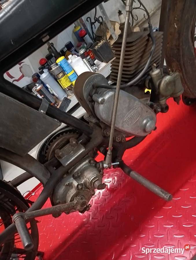 Terrot l Pozostałe Gostycyn