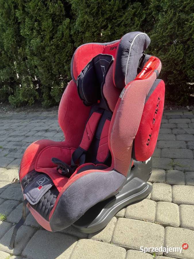 Fotelik Coletto Sportivo Coletto Trzebinia