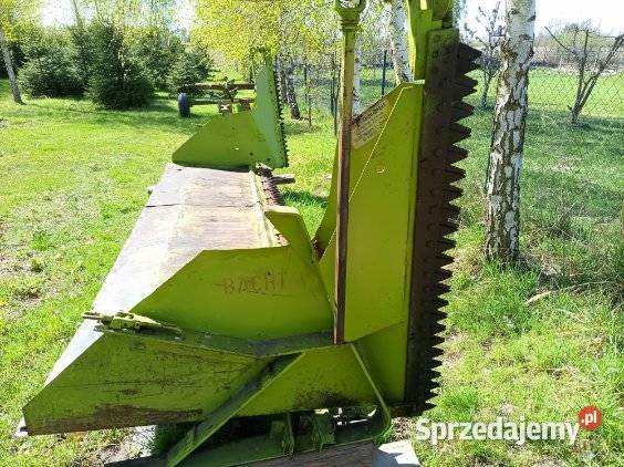 Stół do rzepaku do kombajnu CLAAS