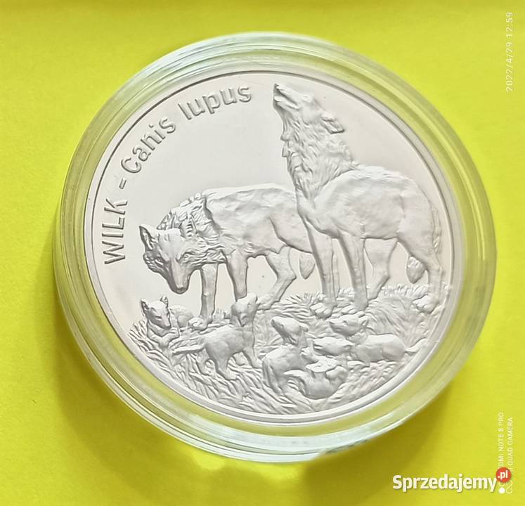 Moneta srebrna 20 zł 1999 Wilk
