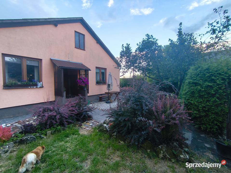 Siedlisko 219 ha dom 150m ROZTOCZE ZACHODNIE żywopłot Czernięcin Poduchowny
