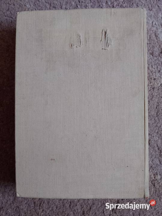 Kazimierz Kaczmarek W bojach Łużycę Rzeszów