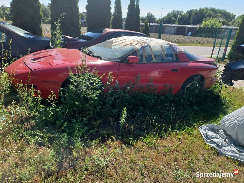 Pontiac TransAm Firebird części Strzałkowo