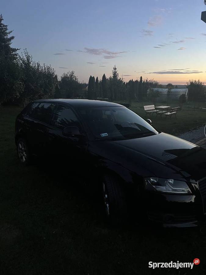 Audi a3 8p 19TDI Pińczów