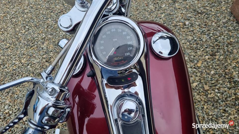 Harley Davidson Sofftail 1450 nieuszkodzony Krosno