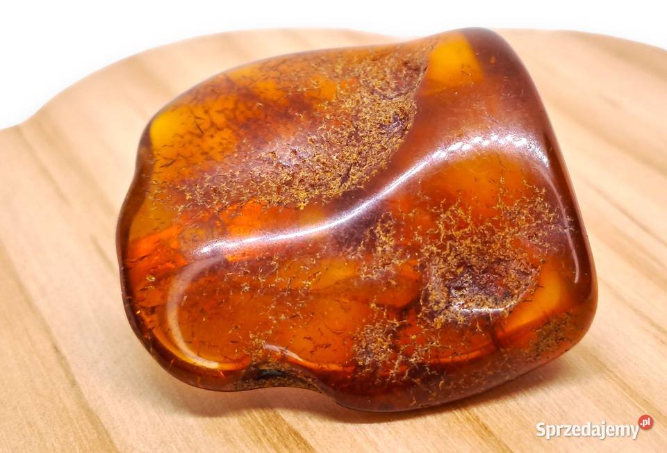 Broszka z bursztynu bursztyn bryłka 1498 mazowieckie Warszawa