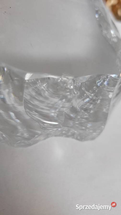 Niedźwiedź szkło Tłuściec