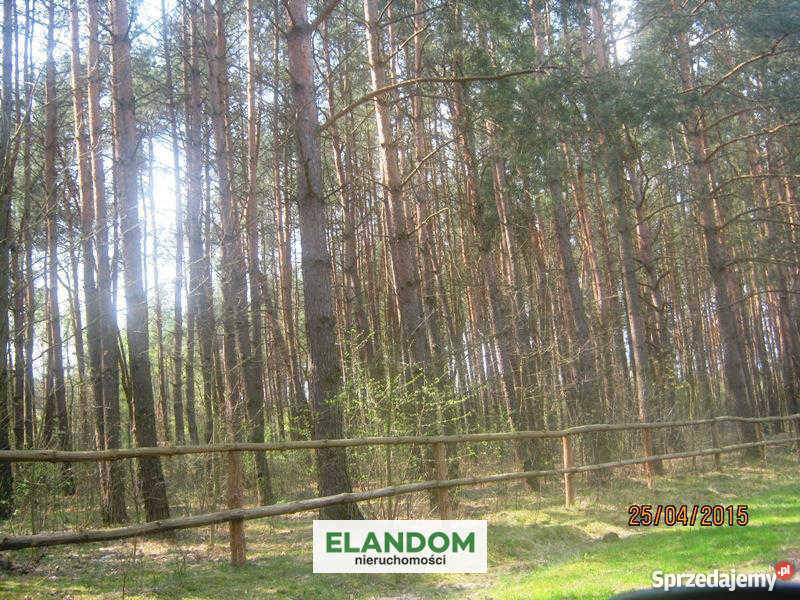 Sprzedam działkę rolną 24600m2 Władzin