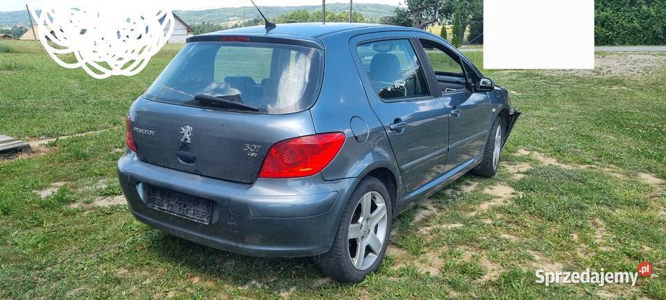 Peugeot 307 Peugeot Strzyżów
