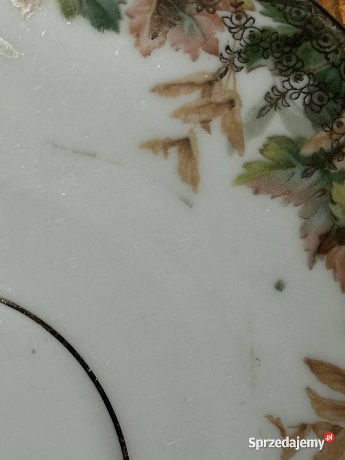 Filiżanka CT Altwasser Antyki, Sztuka, Kolekcje Mielec