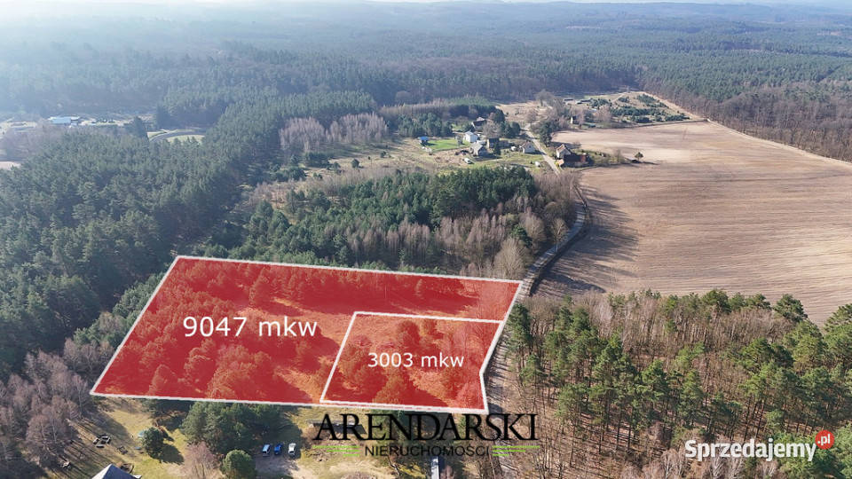 DZIAŁKI W MALOWNICZEJ OKOLICY Sprzedaż Nowe Dzieduszyce