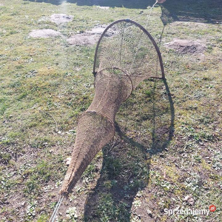 Żaki rybackie 100 Gdańsk