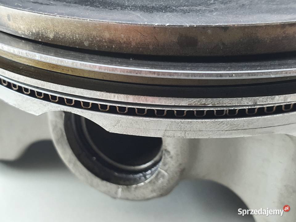 TLOK PIERSCIENIE SMC 700 ARGON JUMBO 700 Janowice