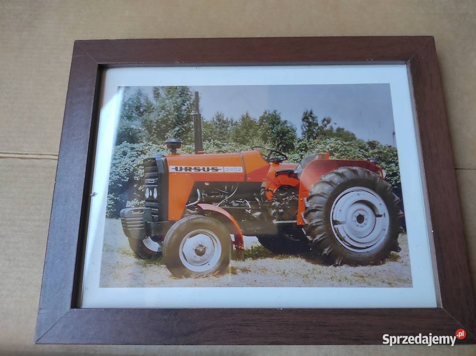 URSUS URSUS URSUS zdęcie w ramce Warszawa sprzedam