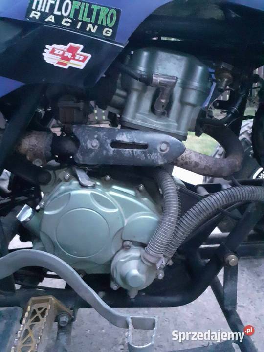 BASHAN 250 MANUAL sprzedam