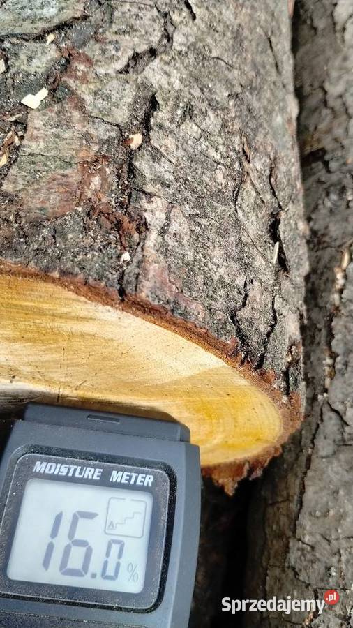 Drzewo drewno opałowe kominkowe rozpałkowe