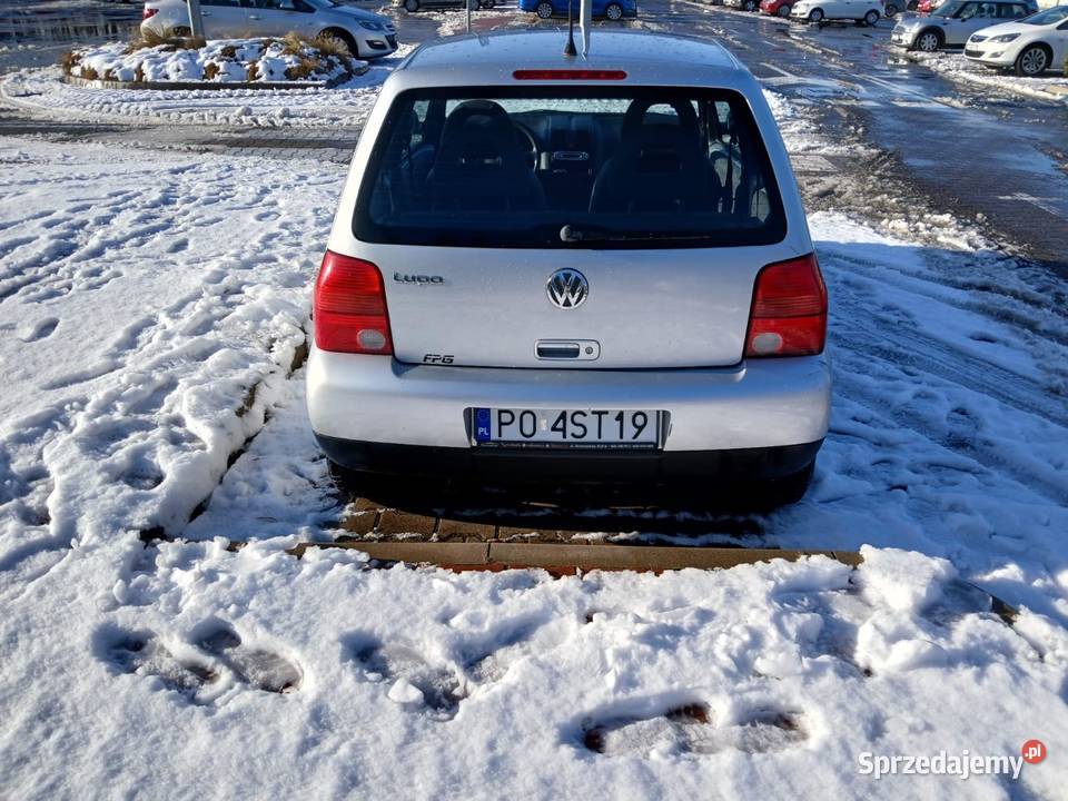 Sprzedam lupo wielkopolskie Kostrzyn sprzedam