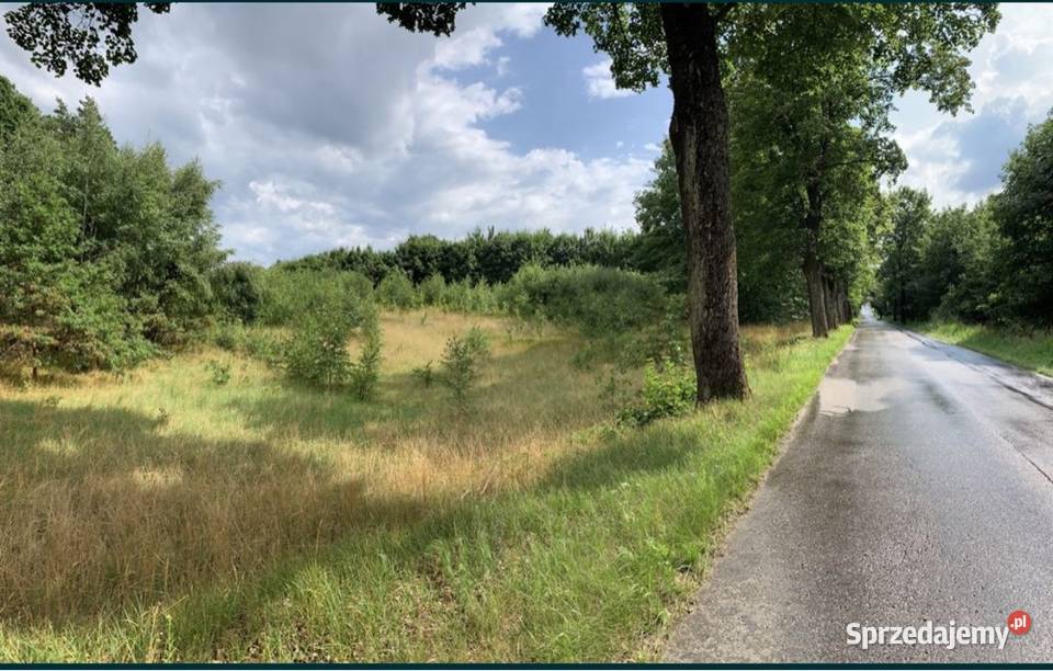 Działka budowlana na wzniesieniu asfalcie