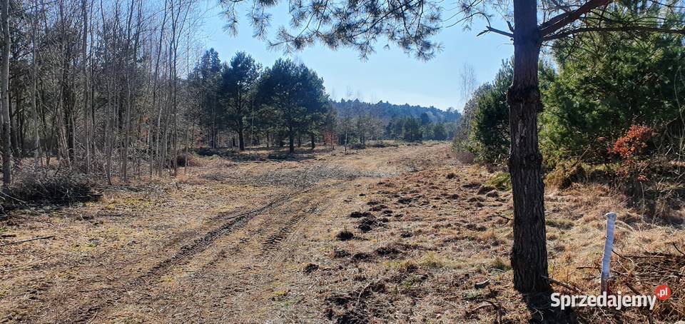Działki budowlane Mniszek Radom sprzedam