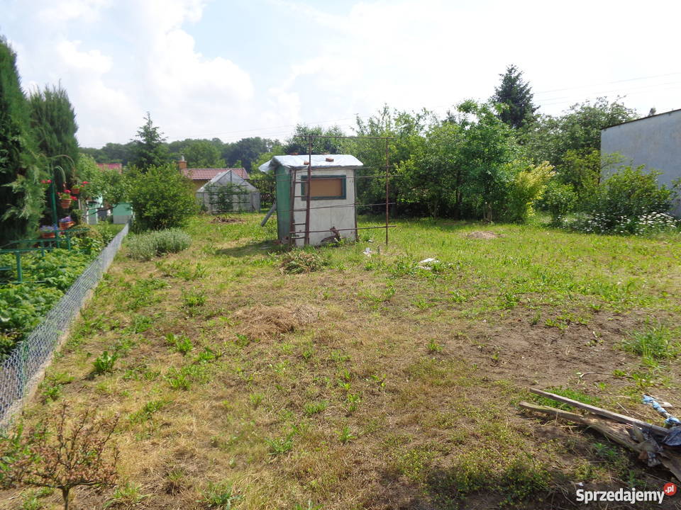Sprzedam Ogródek Działkowy 400m2 budka studnia z Grunty i działki opolskie Nysa