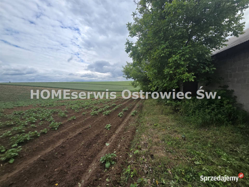 Dom wolnostojący 46400m2 Ćmielów sprzedam