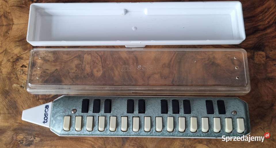 Harmonijka ustna klawiszowa lubuskie Zielona Góra