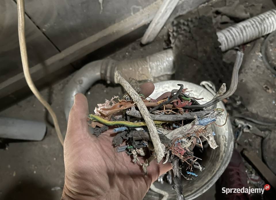 Linia do recyklingu kabli Cu Al granulatu wielkopolskie Kępno