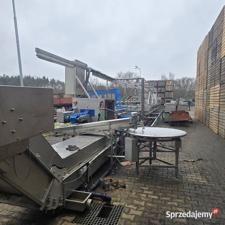 Linia do segregacji i mycia warzyw cebuli itd Nysa