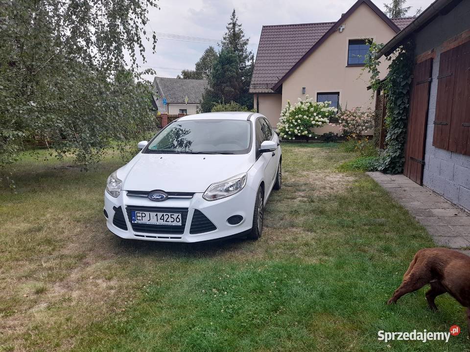 Ford focus 2014 manualna Focus Sulmierzyce