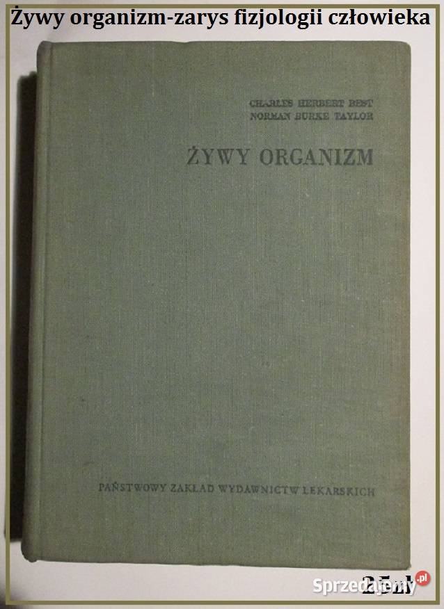 Organizm jako całość Schmalhausen biologia łódzkie sprzedam