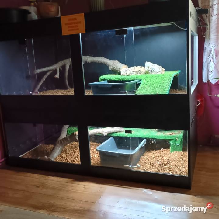 Terraria Kraśnik sprzedam