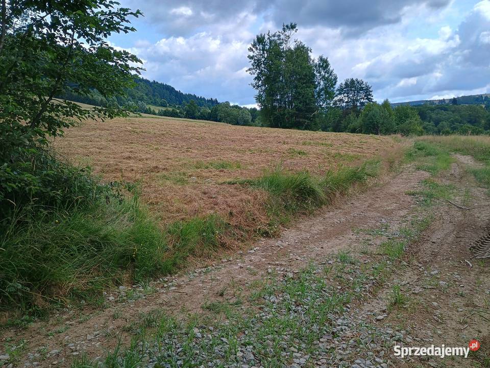 Działka Daliowa gm Jaśliska 3000m2