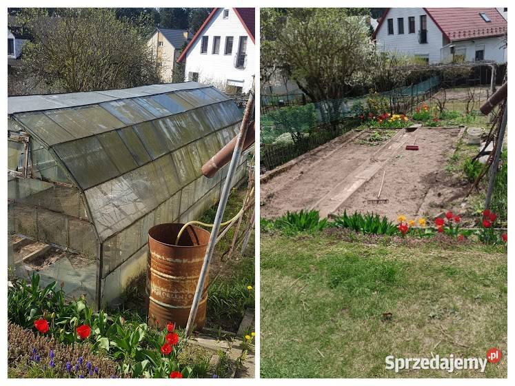 Transport przeprowadzki Oczyszczanie pomieszczeń Puławy