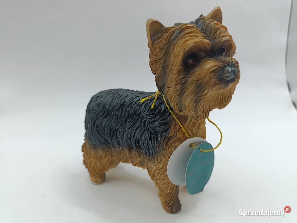 Figurka pies Yorkshire LEONARDO Dog studies
