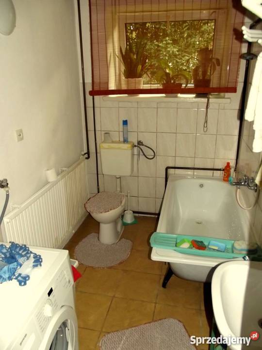 Siedlisko pod Lublinem gm Niemce w Dysie Grunty i działki lubelskie Dys
