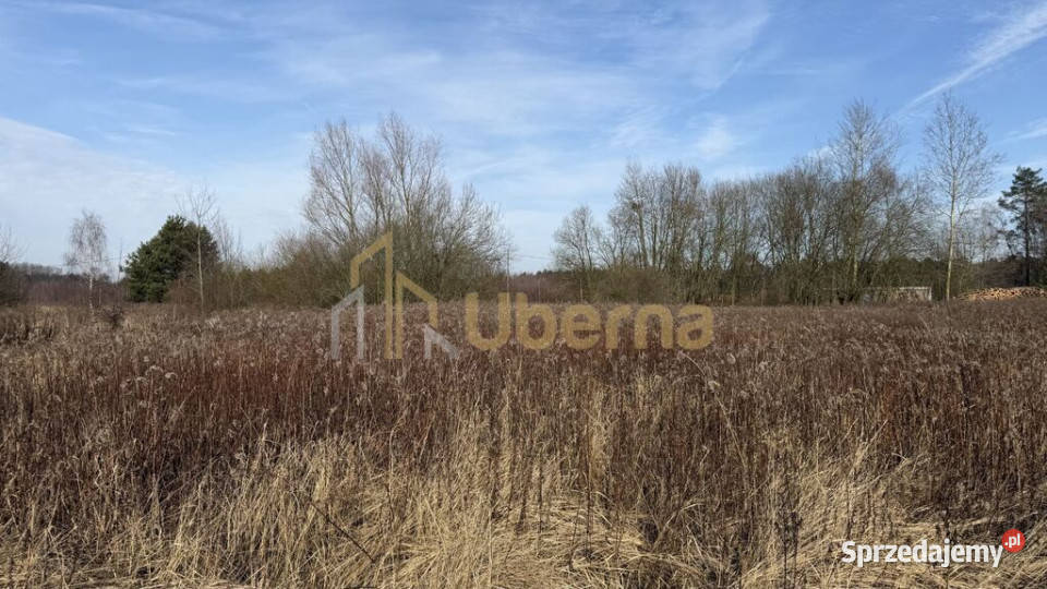 Działka 1552 m2 Żółwia Błoć 4491 m2