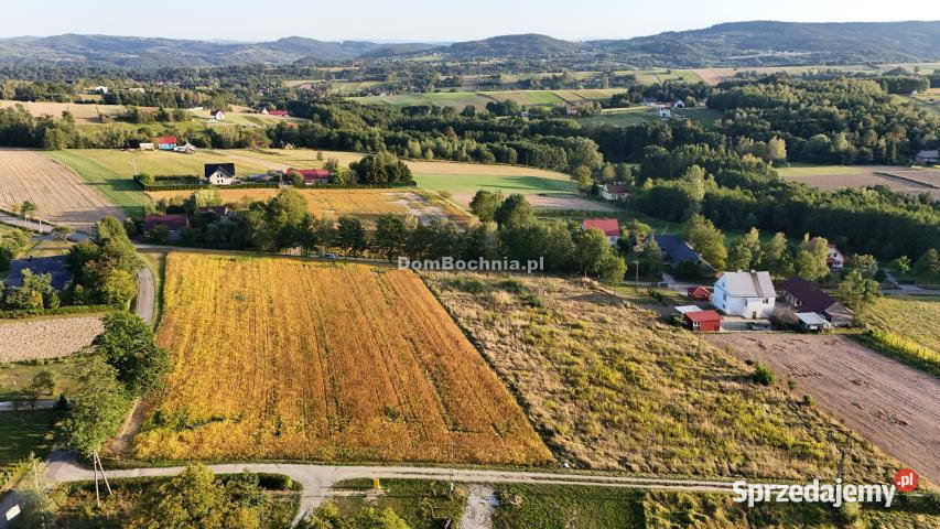 Ogłoszenie działka 1401m2 Tworkowa 25m