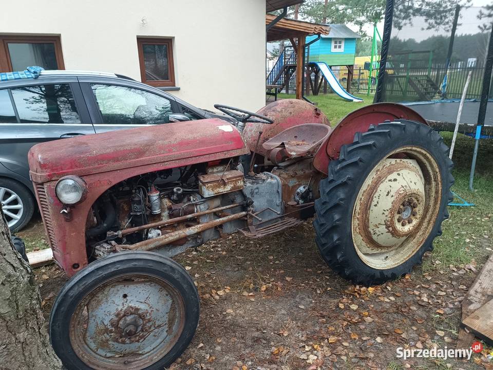 Ferguson Tea20 Białystok