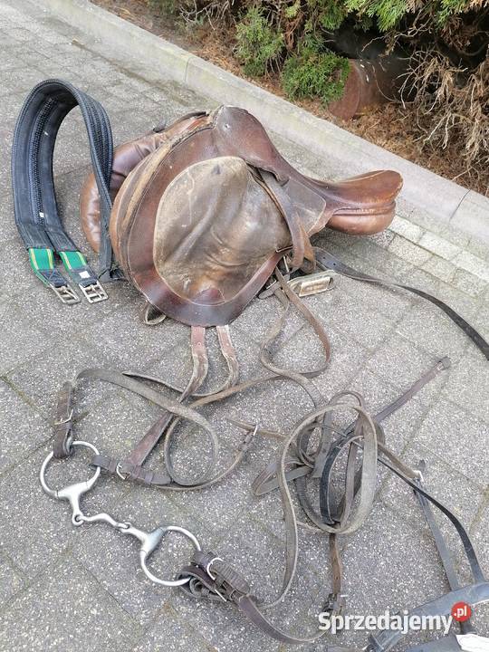 Siodło do jazdy konnej wędził Akcesoria Konie mazowieckie Wołomin