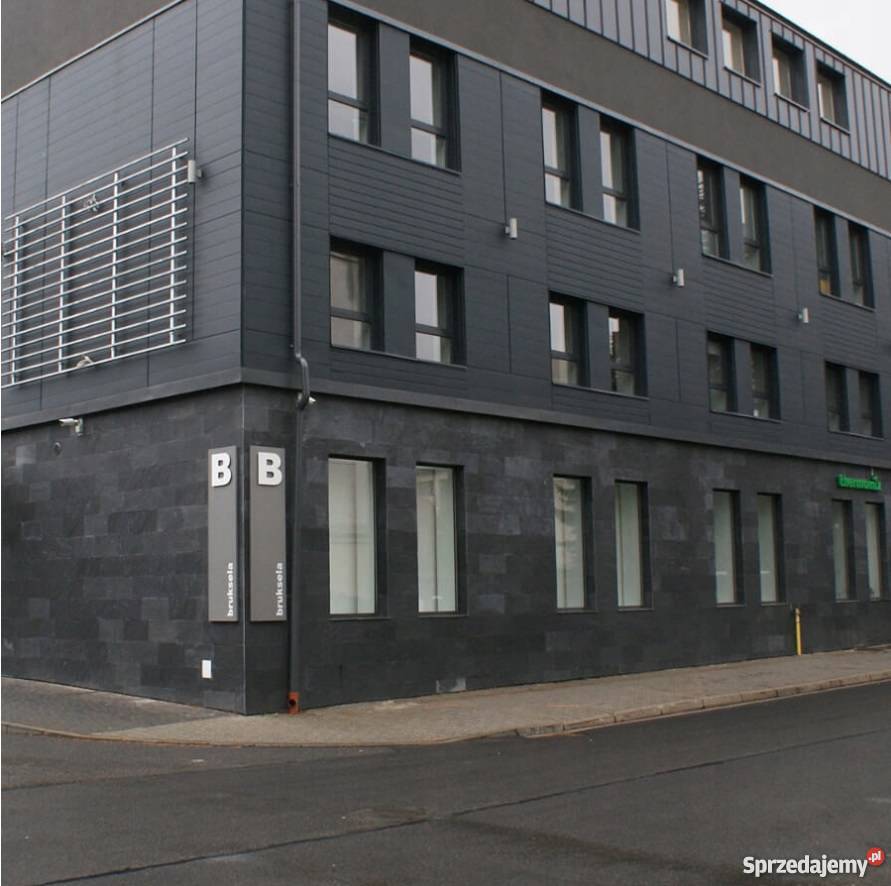 Płytki Elewacyjne Łupek Czarny Black Slate 60x30 łódzkie Łódź