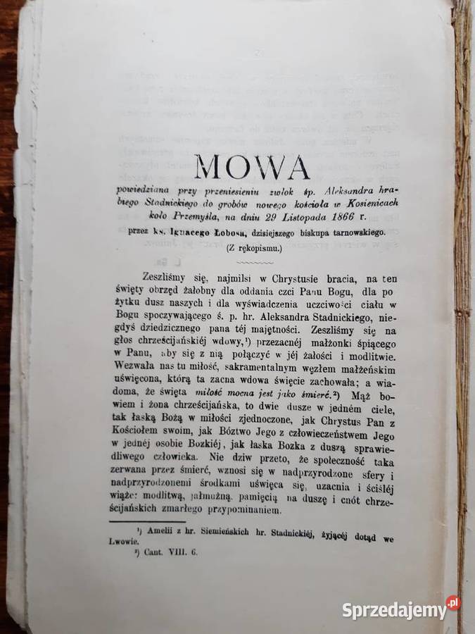 Silva Rerum Zbiór Artykułów z WARTY Poznań 1887 wielkopolskie