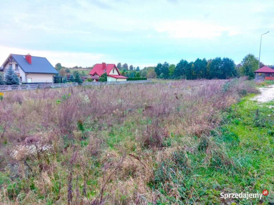 Działka Zaborze 3000m2 sprzedam