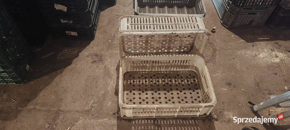 Skrzynki plastikowe 15 Czempiń