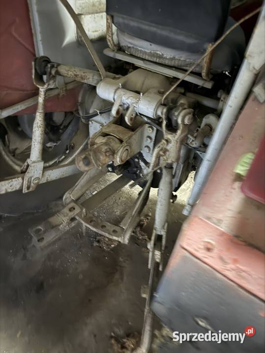 Zetor 3011 oryginał zarejestrowany Nielisz
